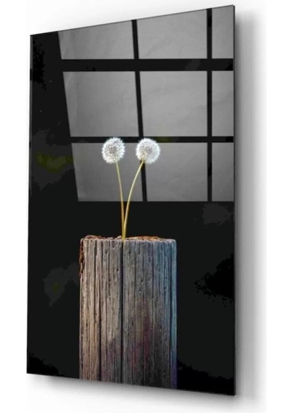 Karahindiba Cam Tablo fiyatları