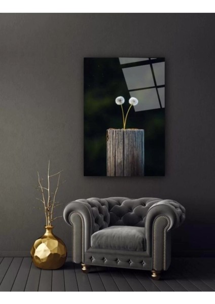 Karahindiba Cam Tablo modelleri