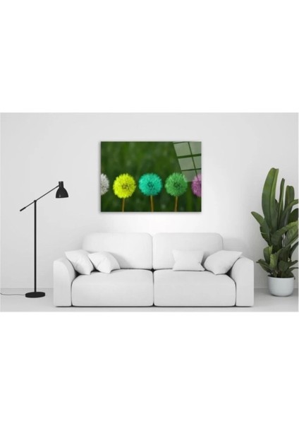 Renkli Karahindibalar Cam Tablo 50 x 70 cm