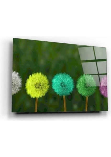 Renkli Karahindibalar Cam Tablo 50 x 70 cm fiyatları