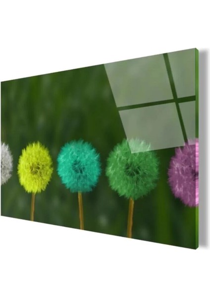 Renkli Karahindibalar Cam Tablo 50 x 70 cm modelleri