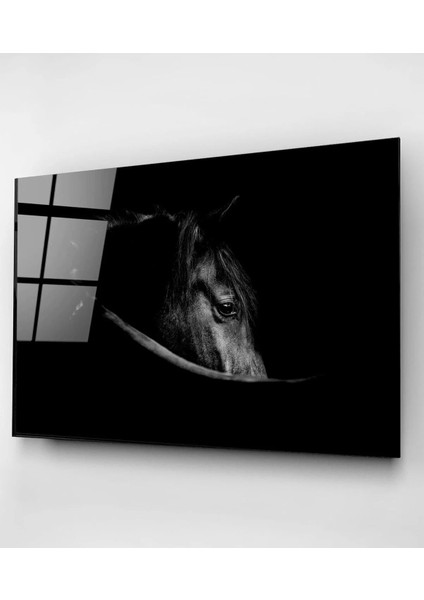 Siyah At Cam Tablo fiyatları