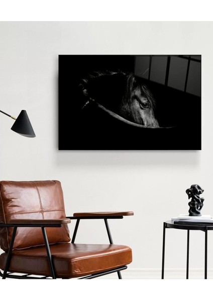 Siyah At Cam Tablo modelleri