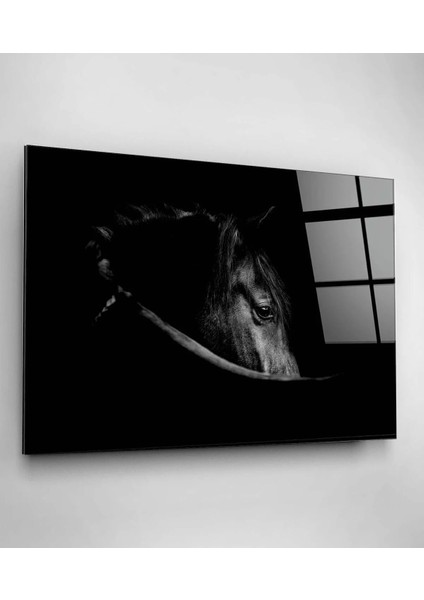 Siyah At Cam Tablo fırsatları