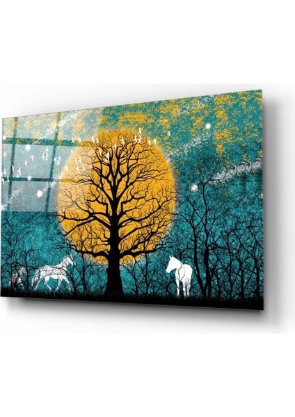 Orman Cam Tablo fiyatları