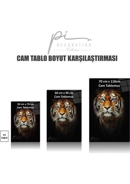 Orman Cam Tablo fırsatları