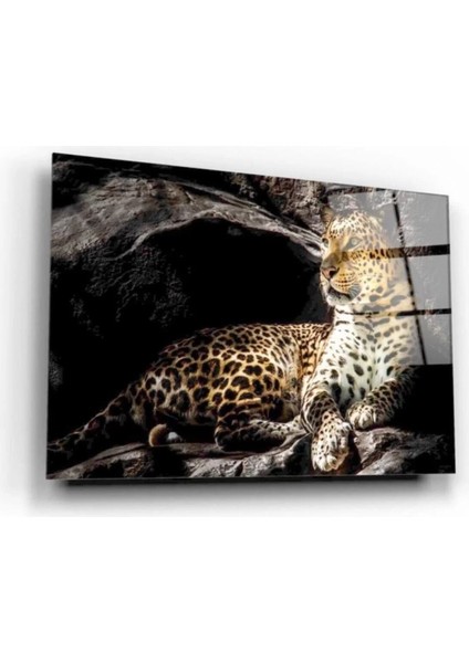 Kaplan Cam Tablo fiyatları