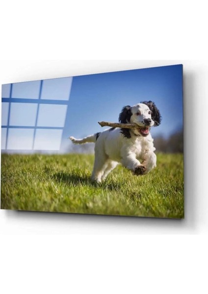 Köpek 3 Cam Tablo
