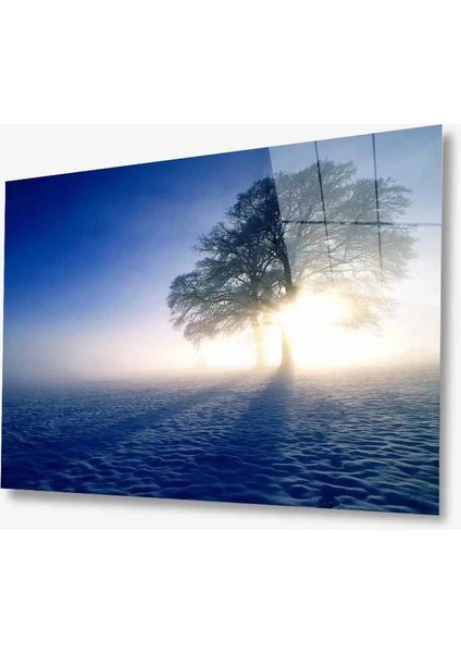 Marsilyan- Doğa Cam Tablo