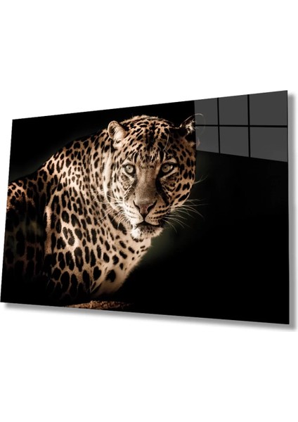 Leopar Hayvan Portresi Cam Tablo, Ev ve Ofis Duvar Dekoru, Hediyelik Büyük Temperli 4 mm Cam Tablo