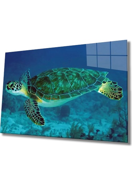 Marsilyan- Deniz Kaplumbağası Cam Tablo Sea Turtle
