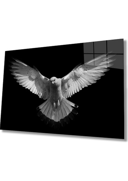 Marsilyan- Güvercin Hayvan Cam Tablo