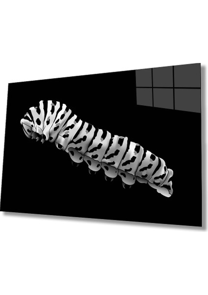 Marsilyan- Tırtıl Hayvan Cam Tablo