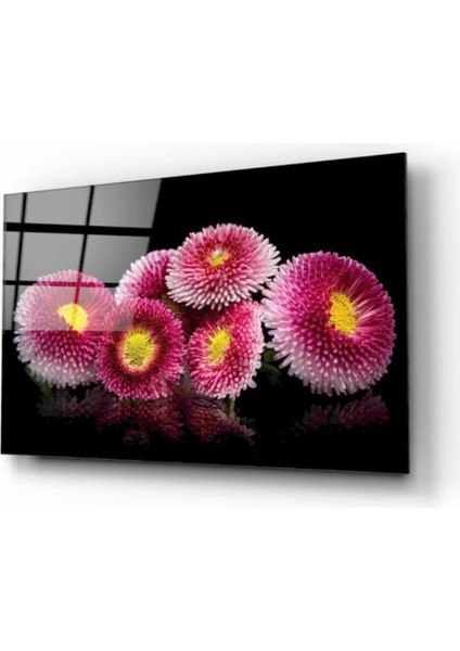 Marsilyan- Çiçek Cam Tablo