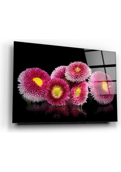 Marsilyan- Çiçek Cam Tablo fiyatları