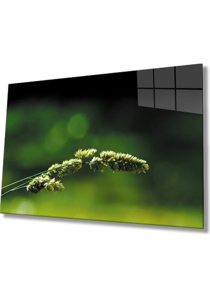 Marsilyan- Yeşil Bitki Cam Tablo Green Plant