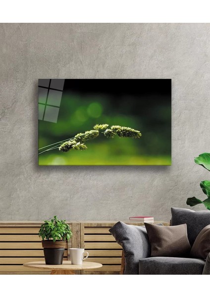 Marsilyan- Yeşil Bitki Cam Tablo Green Plant