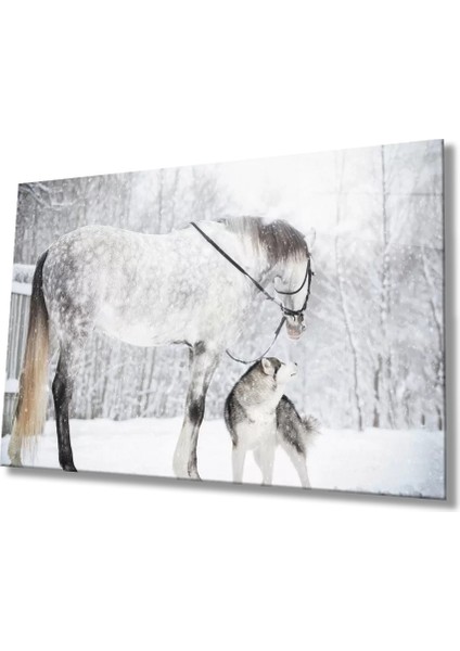 Marsilyan- At ve Köpek Cam Tablo