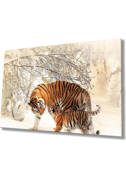 Marsilyan- Kar Manzara Leopar Cam Tablo