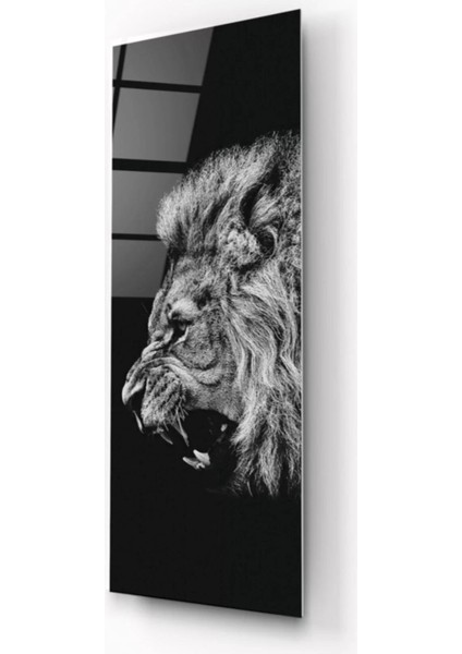 Aslan Tema Cam Tablo fiyatları