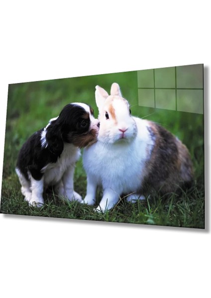 Marsilyan- Köpek ve Tavşan Cam Tablo