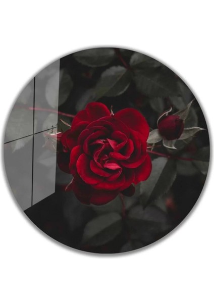 Kırmızı Gül Yuvarlak Cam Tablo 4mm Dayanıklı Temperli Cam