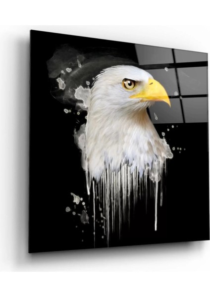 Marsilyan- Kartal Cam Tablo