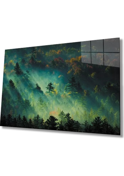 Marsilyan- Yeşil Orman Ağaç Manzara Cam Tablo
