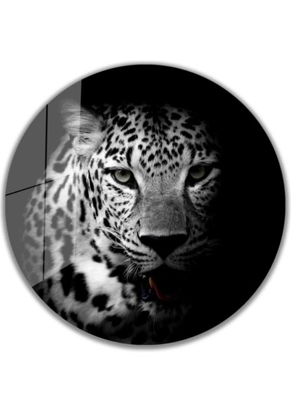 Kaplan Yuvarlak Cam Tablo 4mm Dayanıklı Temperli Cam