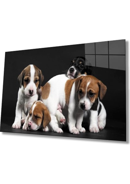 Marsilyan- Köpekler Cam Tablo