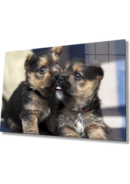 Marsilyan- Köpekler Cam Tablo