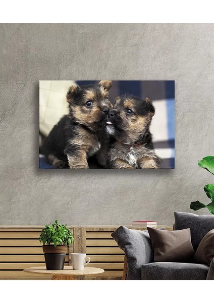 Marsilyan- Köpekler Cam Tablo fiyatları