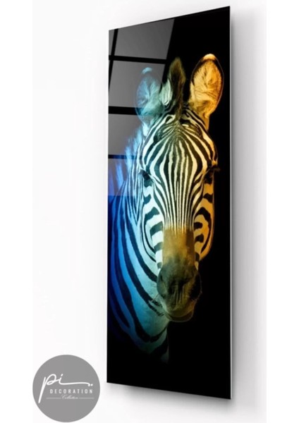 Zebra Panoramik Cam Tablo modelleri