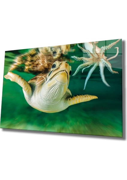 Marsilyan- Sualtı Cam Tablo Marine Life