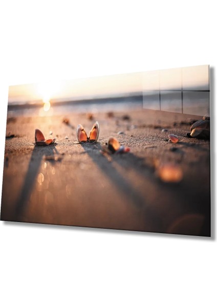 Marsilyan- Sahilde Deniz Kabukları Gün Batımı Cam Tablo