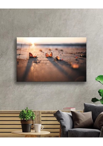 Marsilyan- Sahilde Deniz Kabukları Gün Batımı Cam Tablo fiyatları