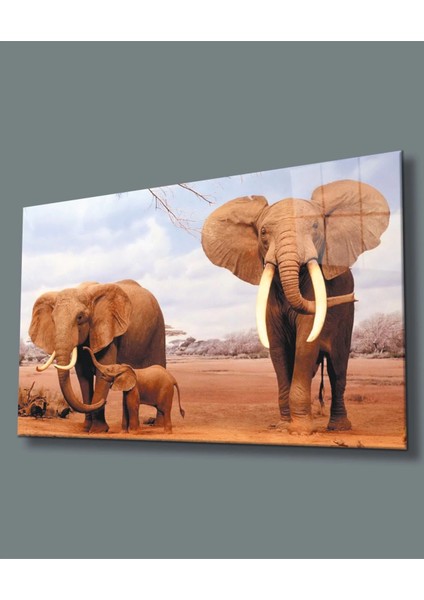 Marsilyan- Fil Cam Tablo