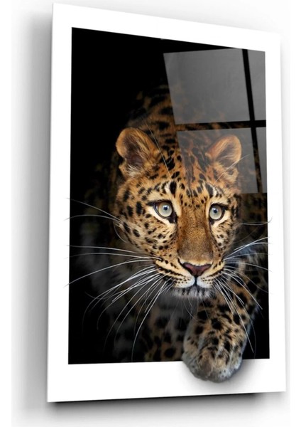 Marsilyan- Leopar Cam Tablo
