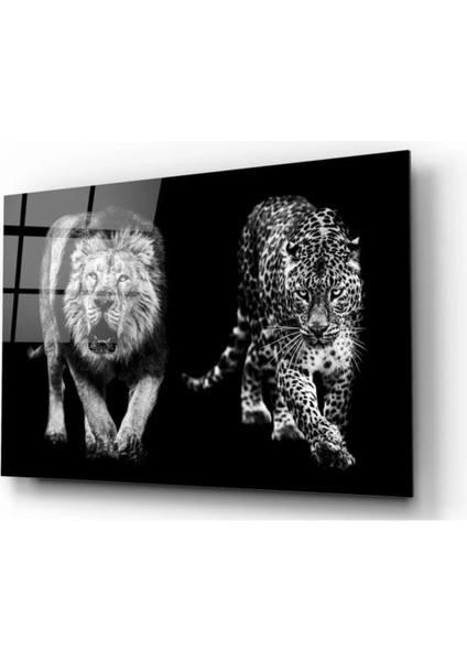Marsilyan- Aslan ve Leopar Cam Tablo
