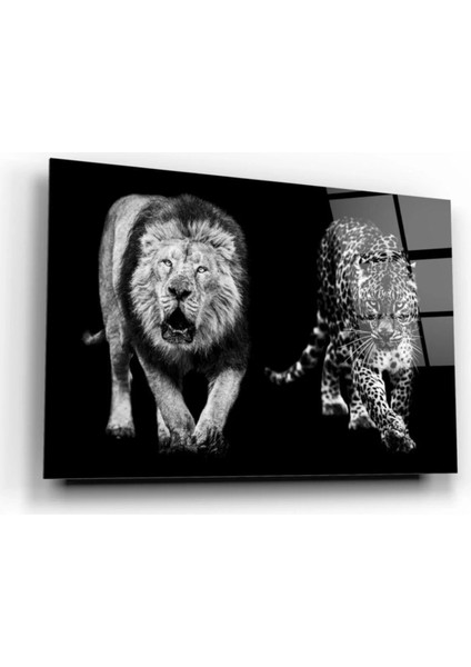 Marsilyan- Aslan ve Leopar Cam Tablo