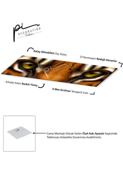 Kaplan Panoramik Cam Tablo modelleri