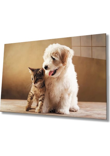 Marsilyan- Kedi ve Köpek Cam Tablo