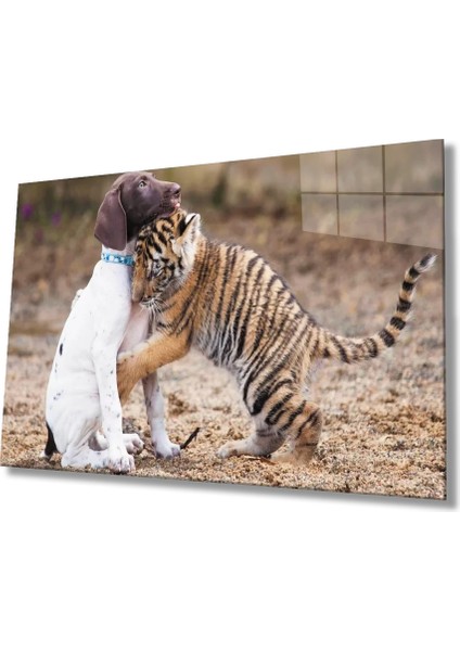 Marsilyan- Köpek ve Aslan Cam Tablo