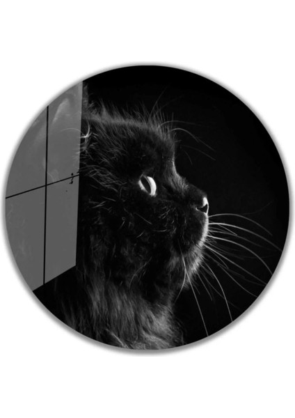 Kedi Yuvarlak Cam Tablo 4mm Dayanıklı Temperli Cam