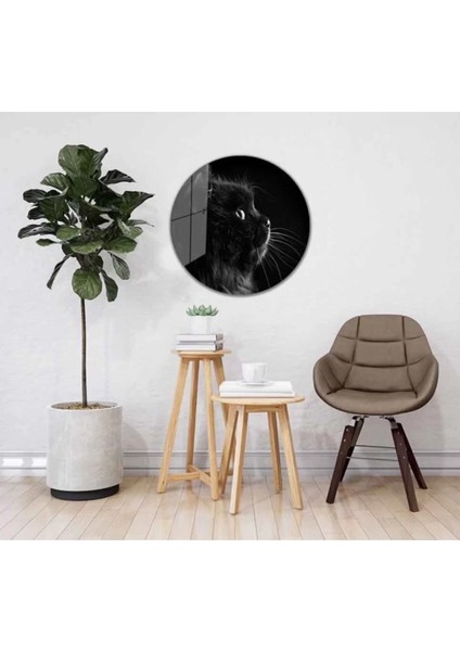 Kedi Yuvarlak Cam Tablo 4mm Dayanıklı Temperli Cam fiyatları