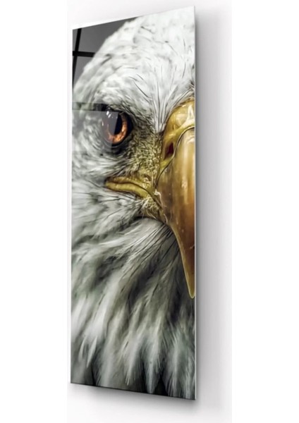 Kartal Tema Cam Tablo fiyatları