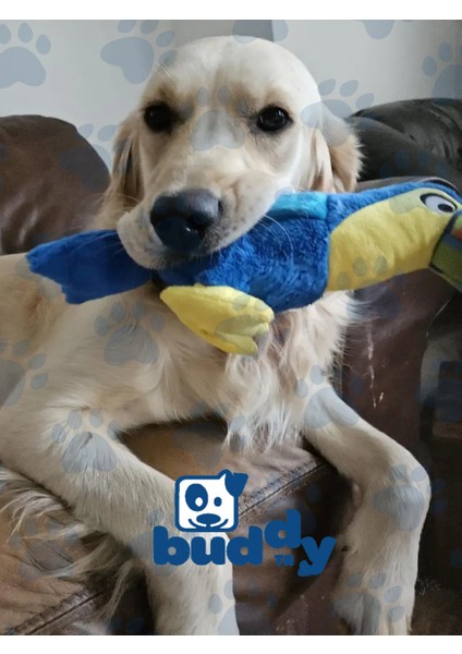 Sesli Peluş Tukan Köpek Oyuncağı | Yumuşak Peluş | Dayanıklı Dikiş | Küçük Ve Orta Irklar İçin
