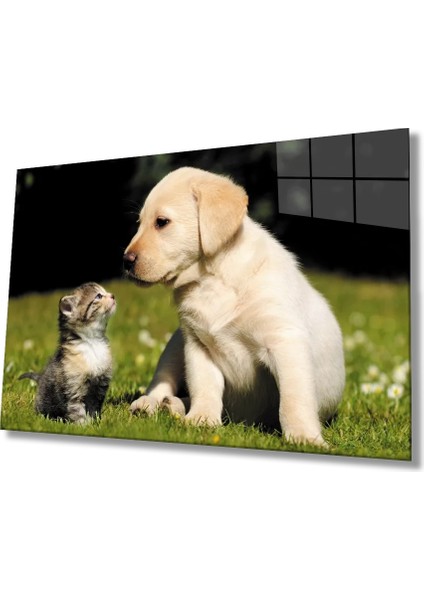 Marsilyan- Kedi Köpek Cam Tablo