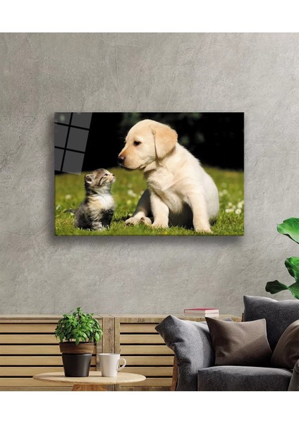 Marsilyan- Kedi Köpek Cam Tablo fiyatları