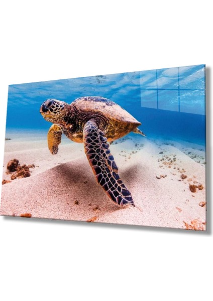 Marsilyan- Deniz Kaplumbağası Hayvan Portresi Cam Tablo